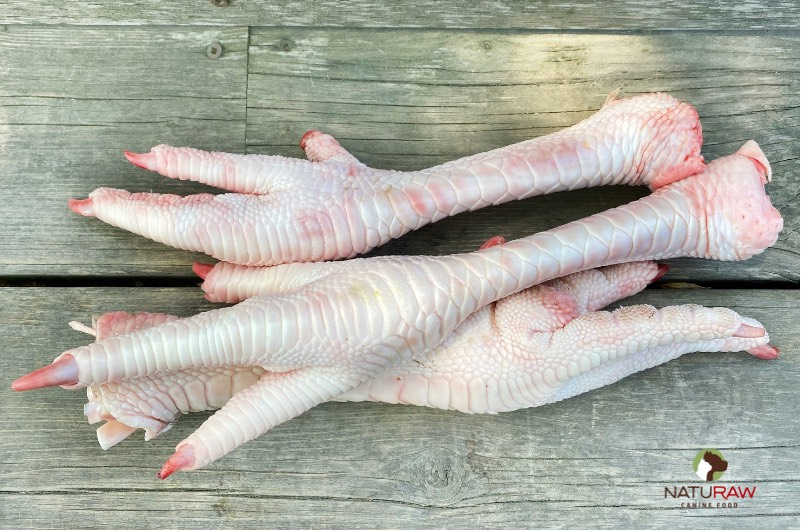 raw turkey feet for dogs